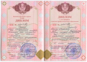 Tattimbet_diplom_web